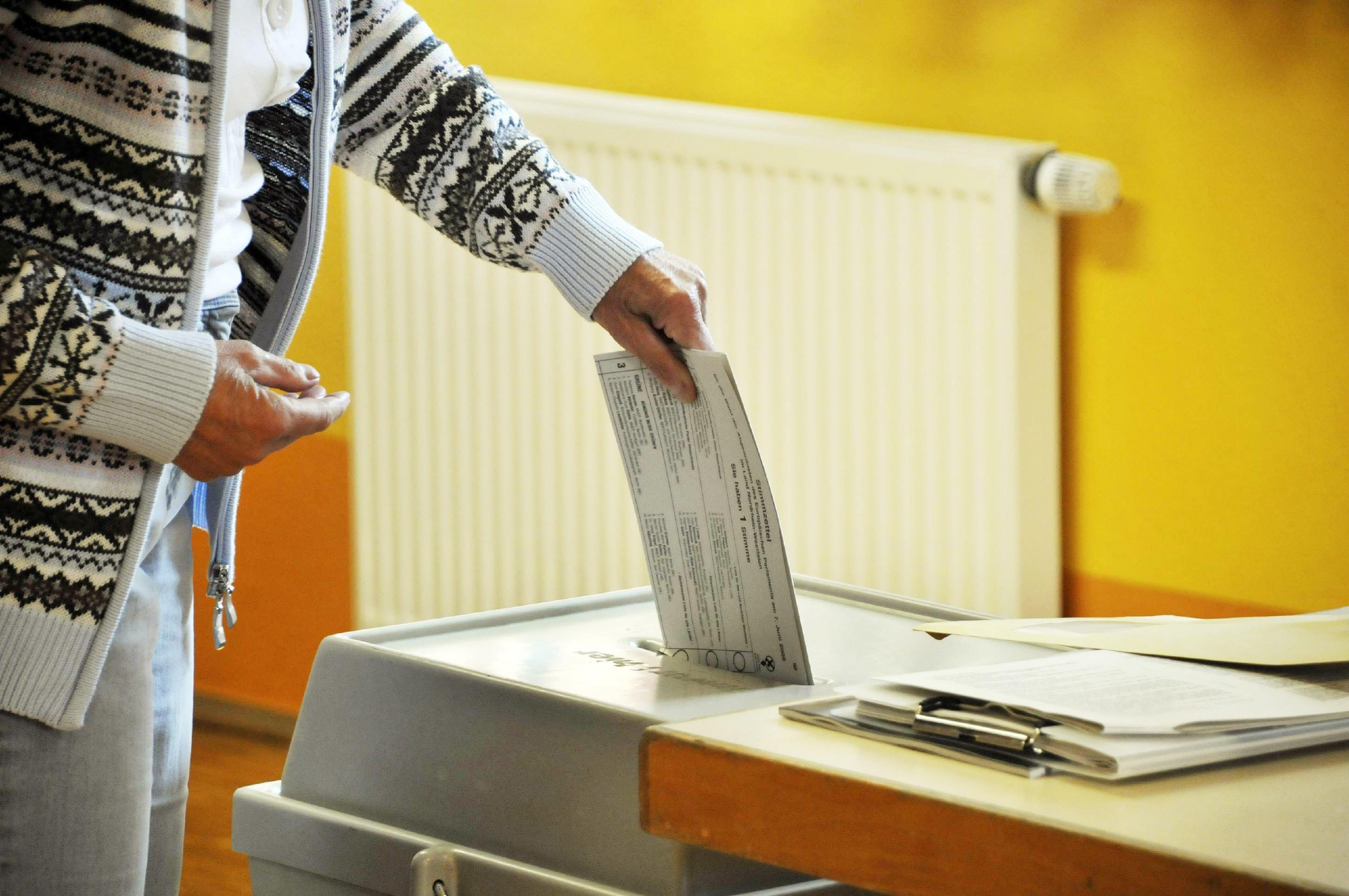 Föderalisten wollen den nächsten Kommissionschef aus den Reihen der MdEP wählen lassen 
